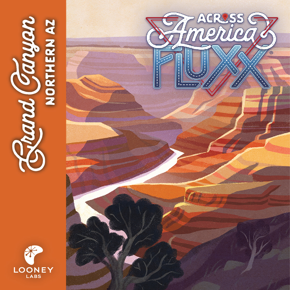 Across America Fluxx Card Game  Ever Changing Fun for Travel